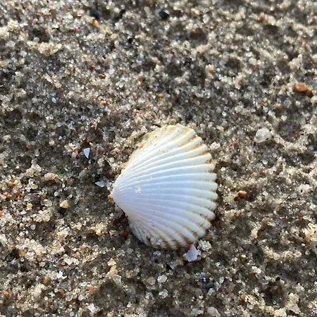 Bruns Wiek Haus Jo Einfach * Zierow